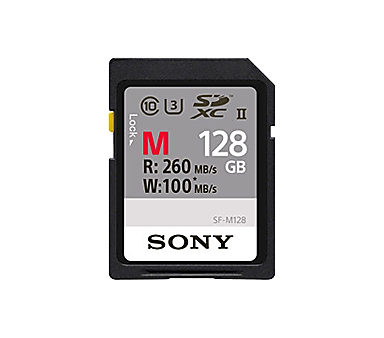 Sony Memory Cards