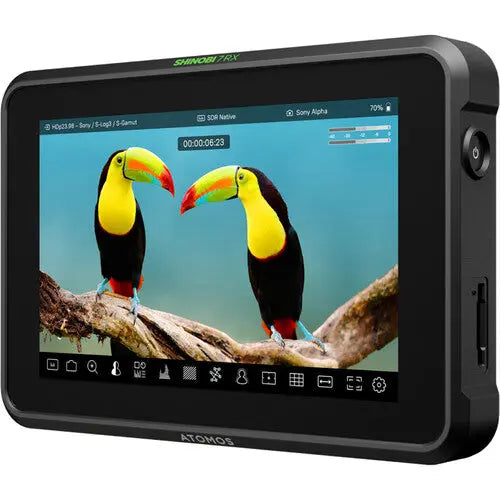 Atomos Shinobi 7 RX HDMI/SDI HDR Monitor - AVC photo video store