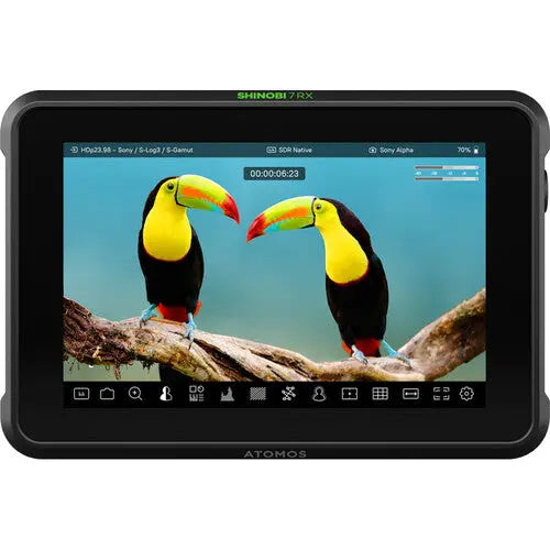 Atomos Shinobi 7 RX HDMI/SDI HDR Monitor - AVC photo video store