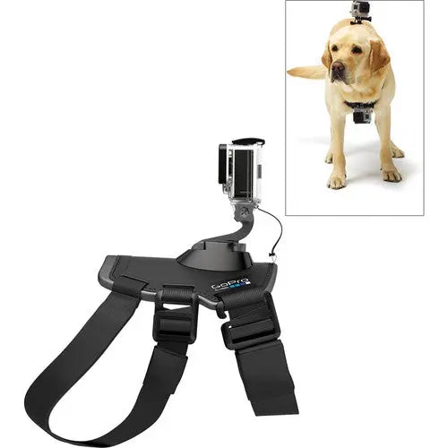 GoPro Fetch