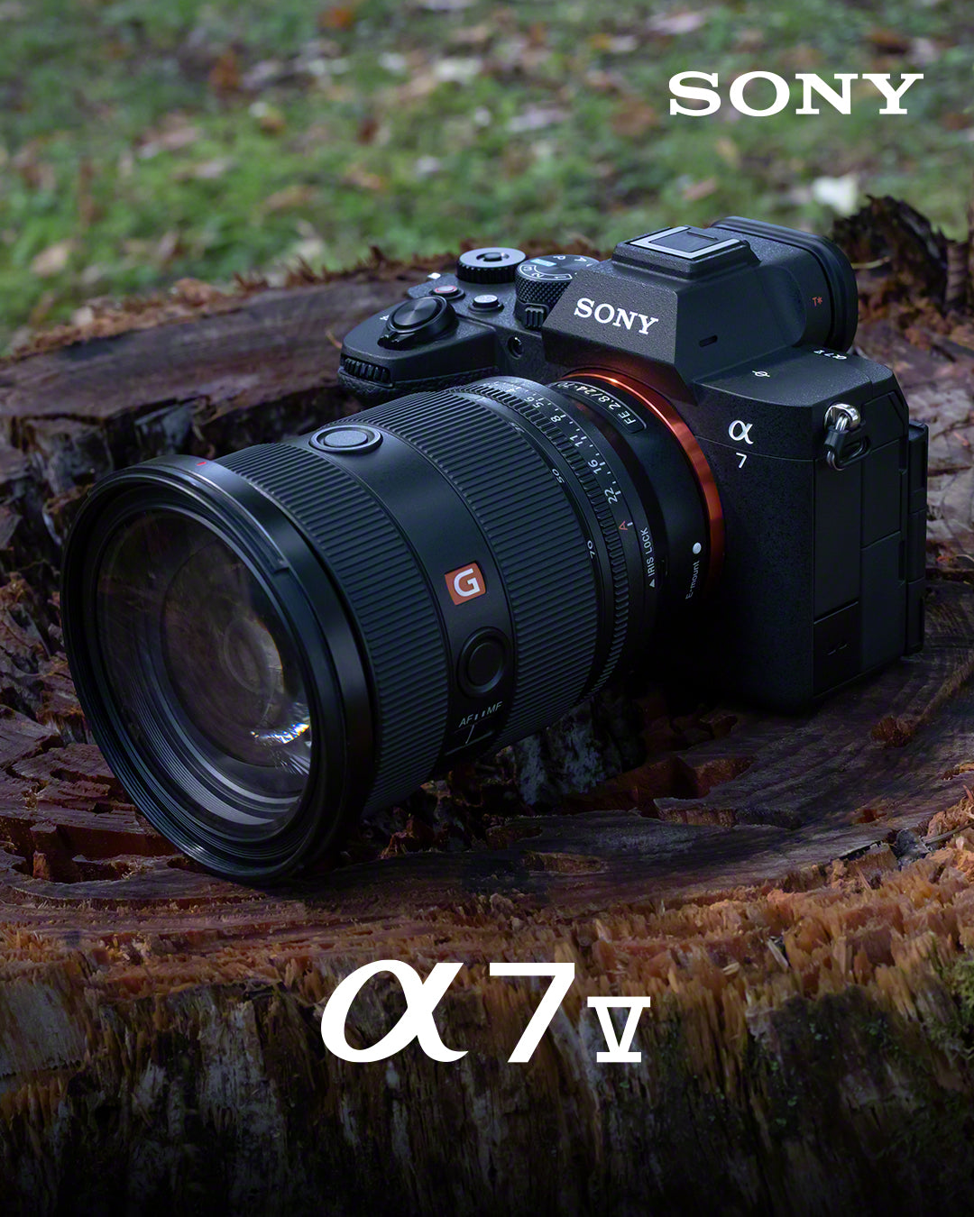 Sony Camera Store Conozca la Sony Alpha 7V: la nueva cámara de fotograma completo