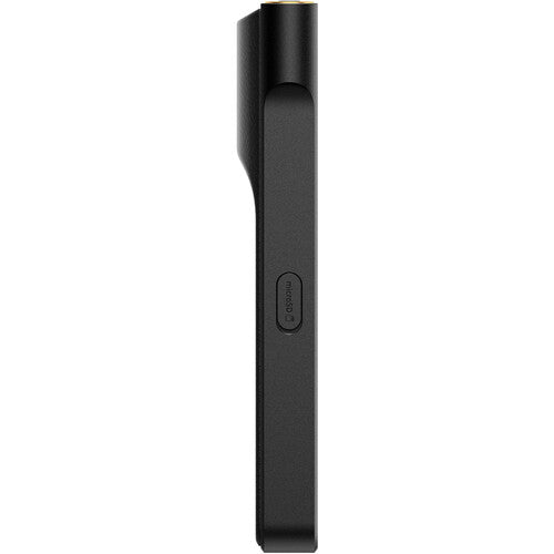 Sony NW-WM1AM3 Walkman Digital Audio Player