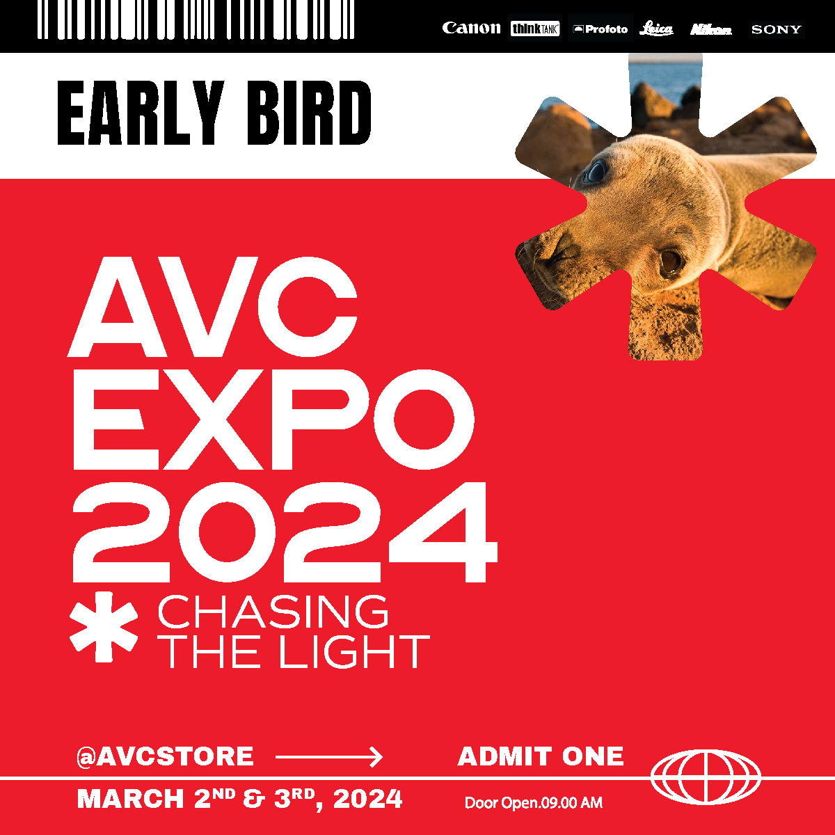 AVC Expo 2024: Chasing the Light - Early Bird