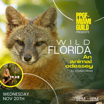 Nov 20th Wednesday - PPGF Presents: WILD FLORIDA, An animal odessey by Kristen Hines