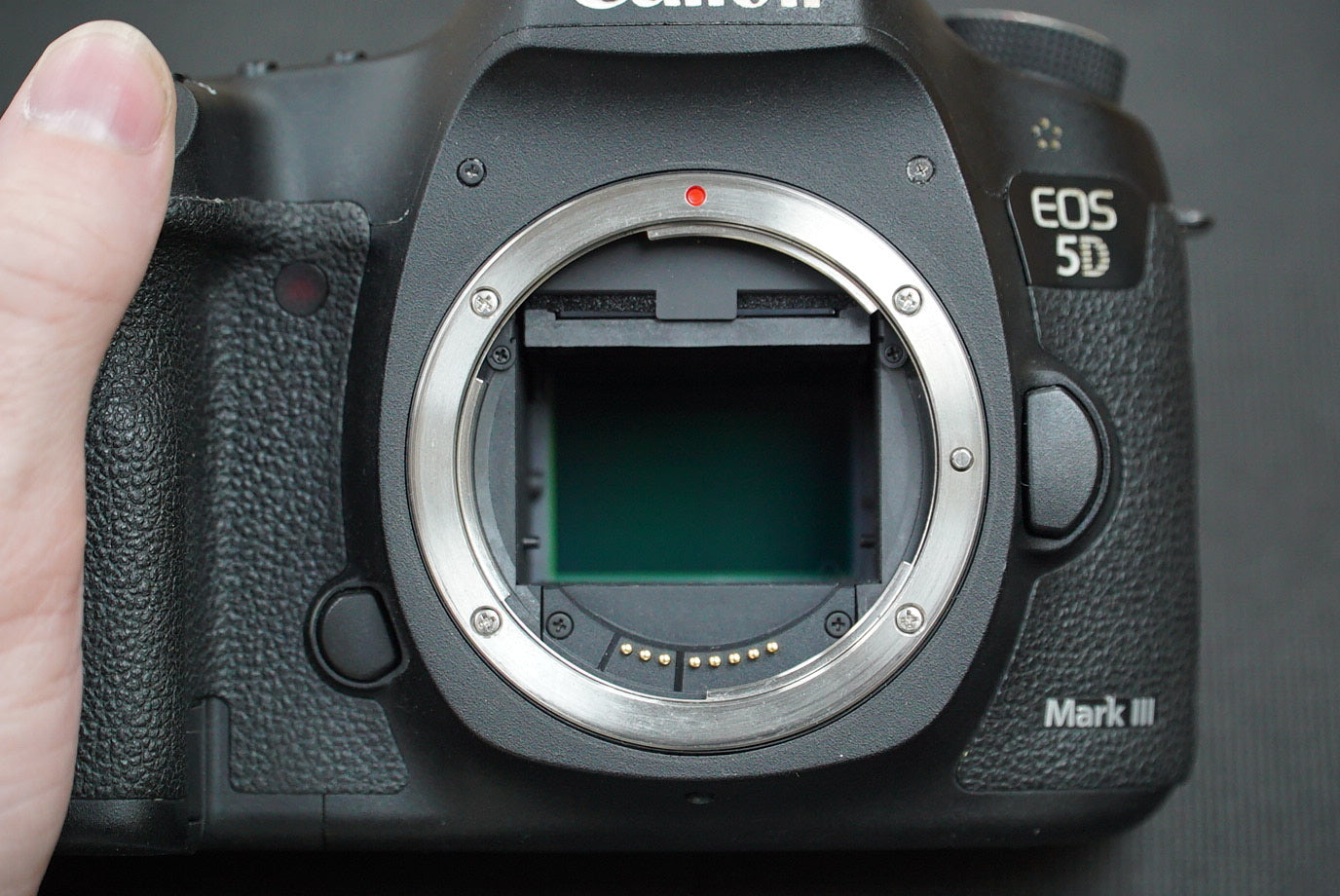 Canon EOS5DMIIIBODY/03285 EOS 5D Mark III + Battery Grip, Body Only, Used