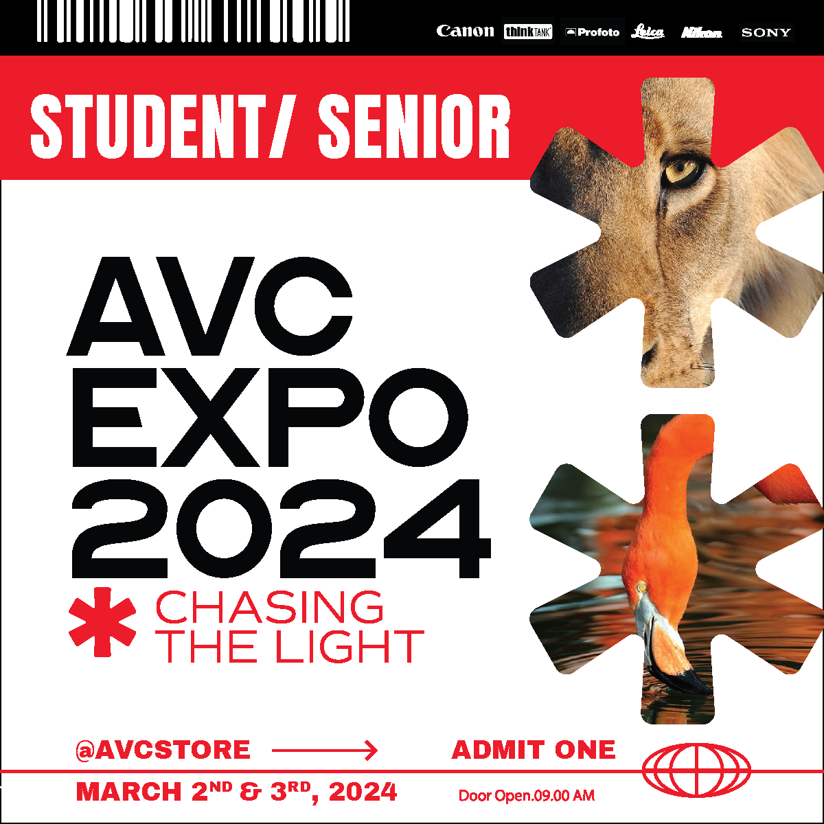 AVC Expo 2024: Chasing the Light - Student/Senior