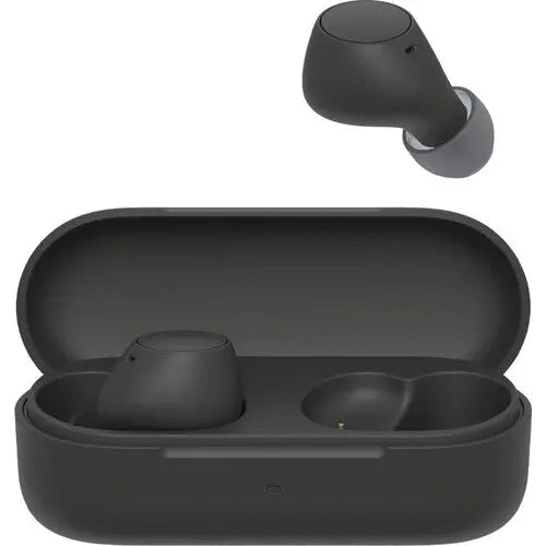 Sony WFC510 Earbuds - AVC photo video store