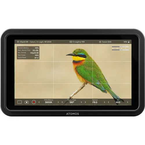 Atomos Shinobi II 5.2" HDMI HDR Monitor - AVC photo video store