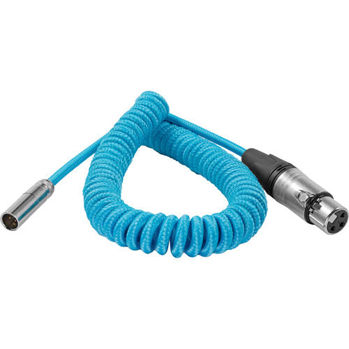 Kondor Blue Coiled Mini XLR to XLR F/C70 & BMPCC4K/6K  (12"-24”)