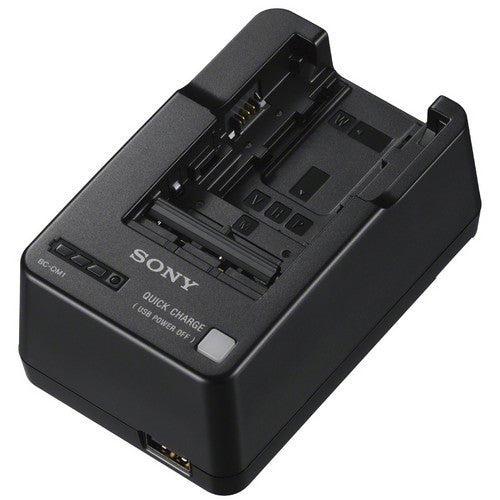 Sony BCQM1 Battery Charger F/H, P, V, M, W Batteries