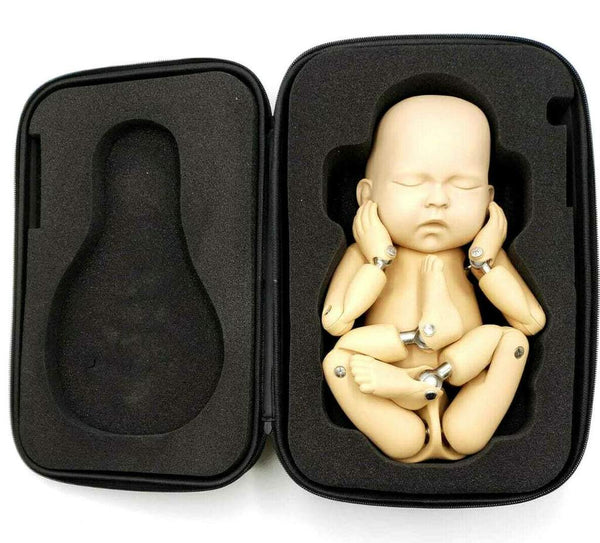 Fotografia Babydoll Treinamento Boneca Recém-nascida