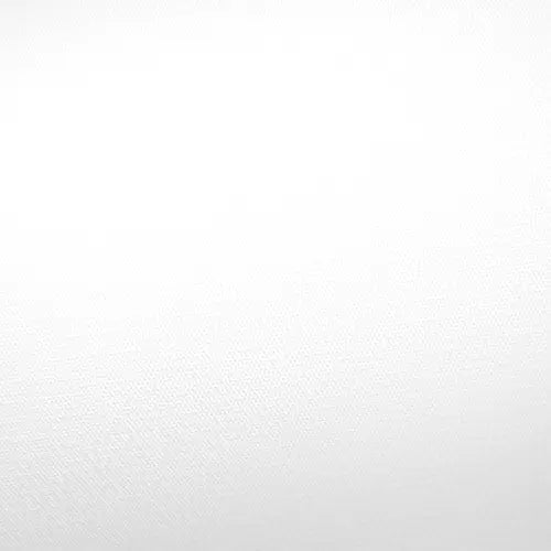 Savage Solid Vinyl Background 10'x20' - AVC photo video store
